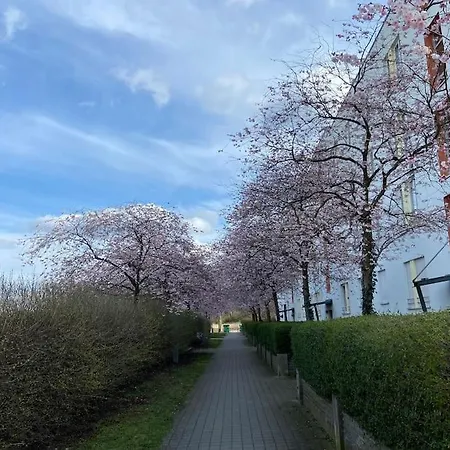 Nahe Airport Ber/ Adlershof