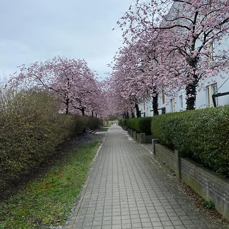Nahe Airport Ber/ Adlershof *