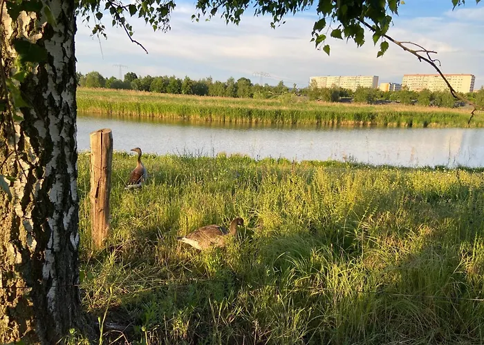 Nahe Airport Ber Adlershof 쇼네펠드